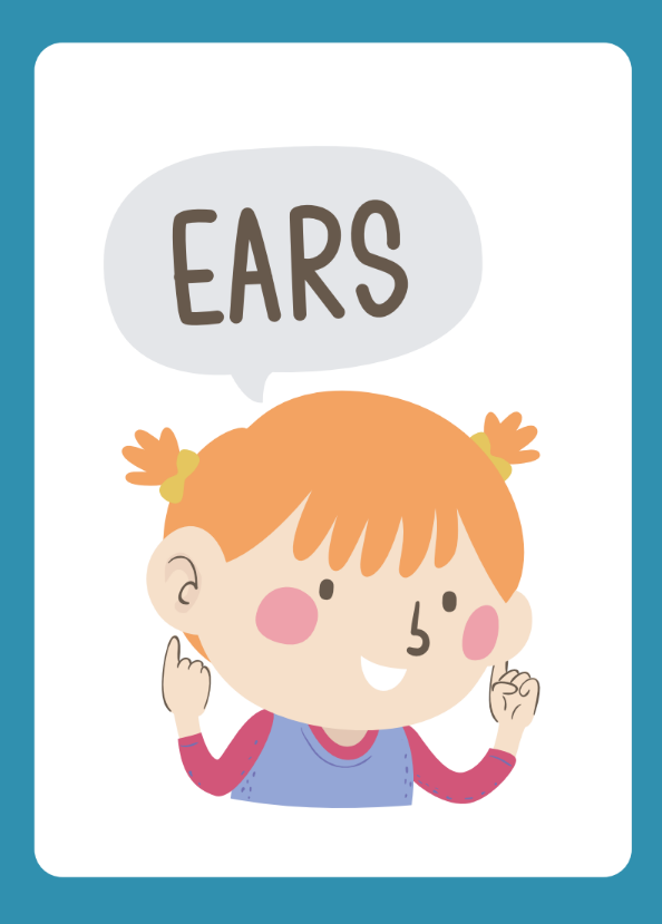 Flash Cards sample 3